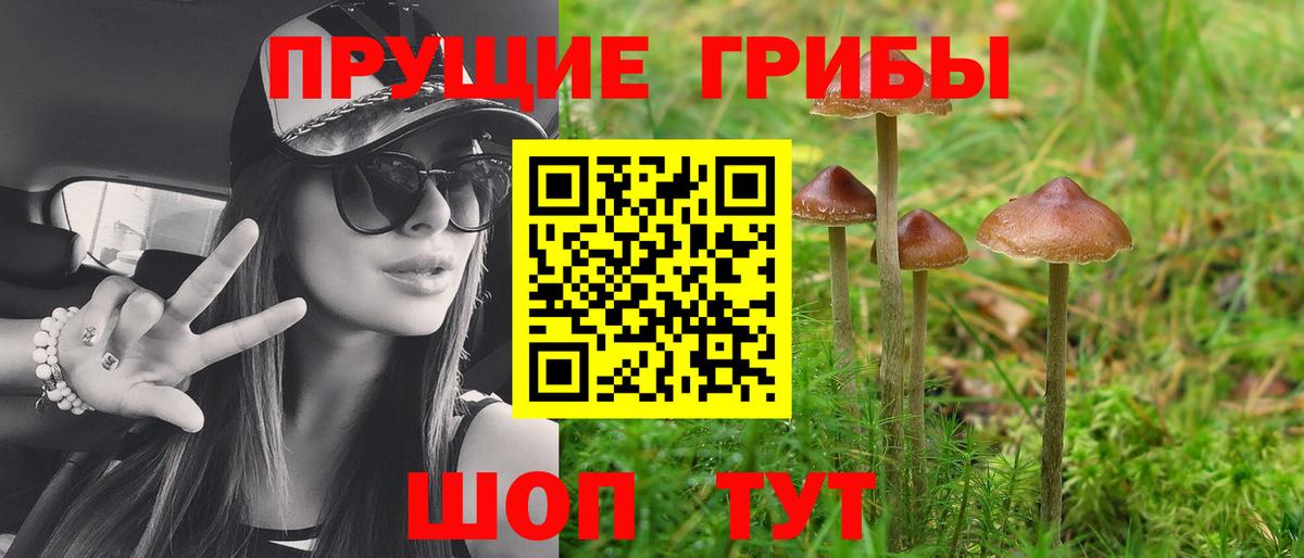 Лосино-Петровский  Галлюциногенные грибы MAGIC MUSHROOMS  где продают   Вход с VPN 