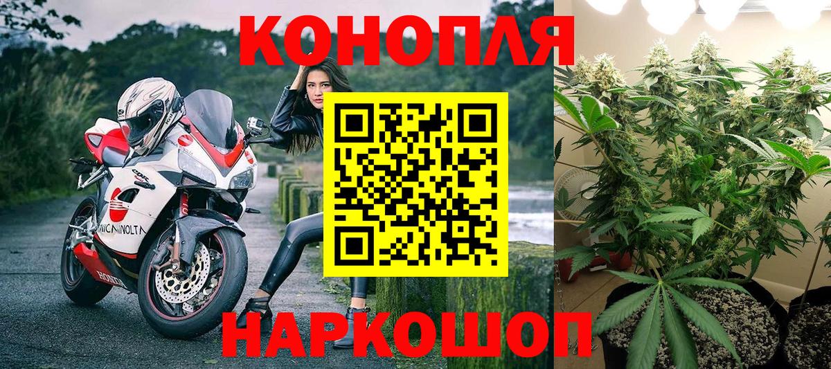 Бошки Шишки марихуана Лосино-Петровский